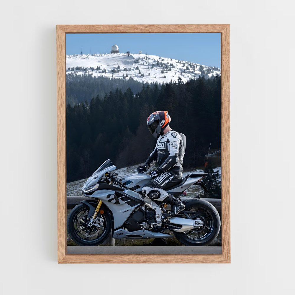 Poster Aprilia RSV4 (vue 4)