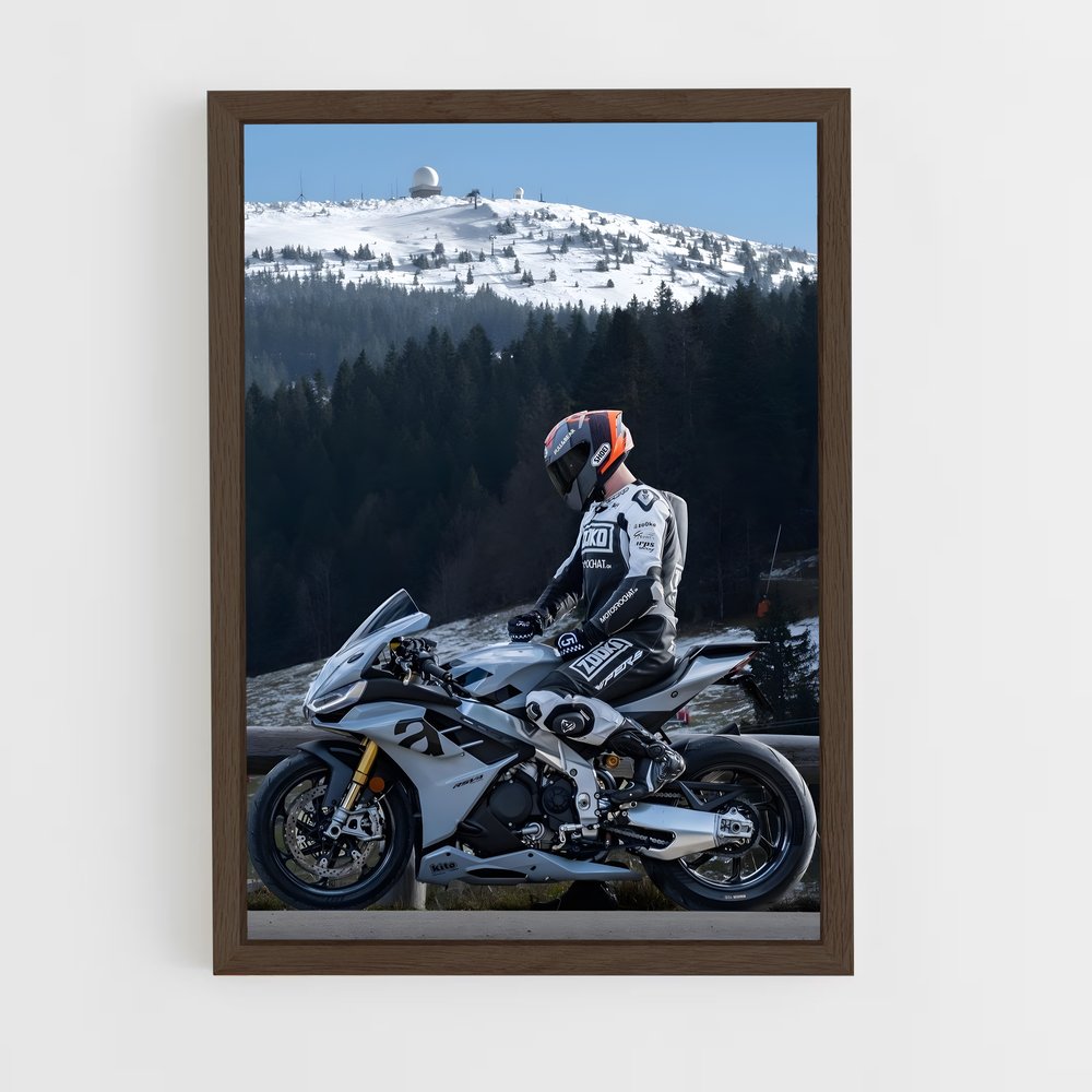 Poster Aprilia RSV4 (vue 5)