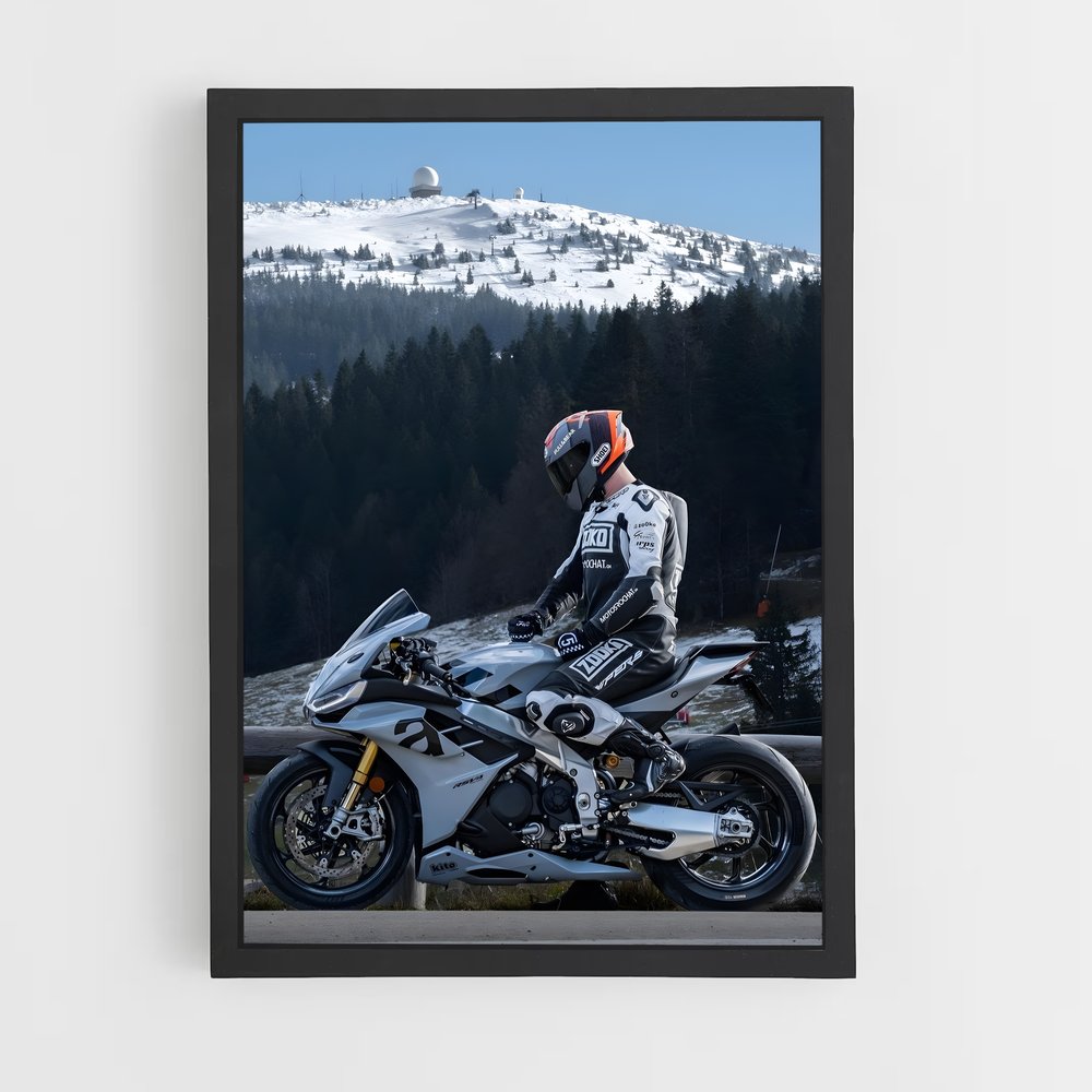 Poster Aprilia RSV4 (vue 2)