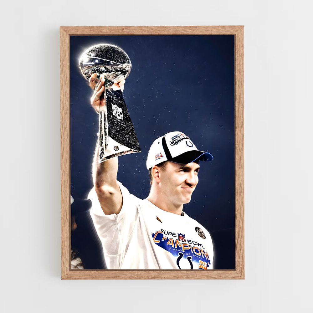 Poster Champion NFL – affiche Football US (vue 4)