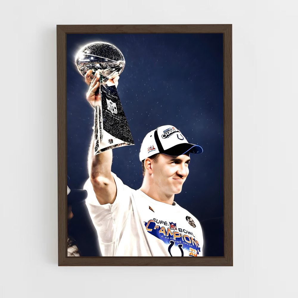 Poster Champion NFL – affiche Football US (vue 5)