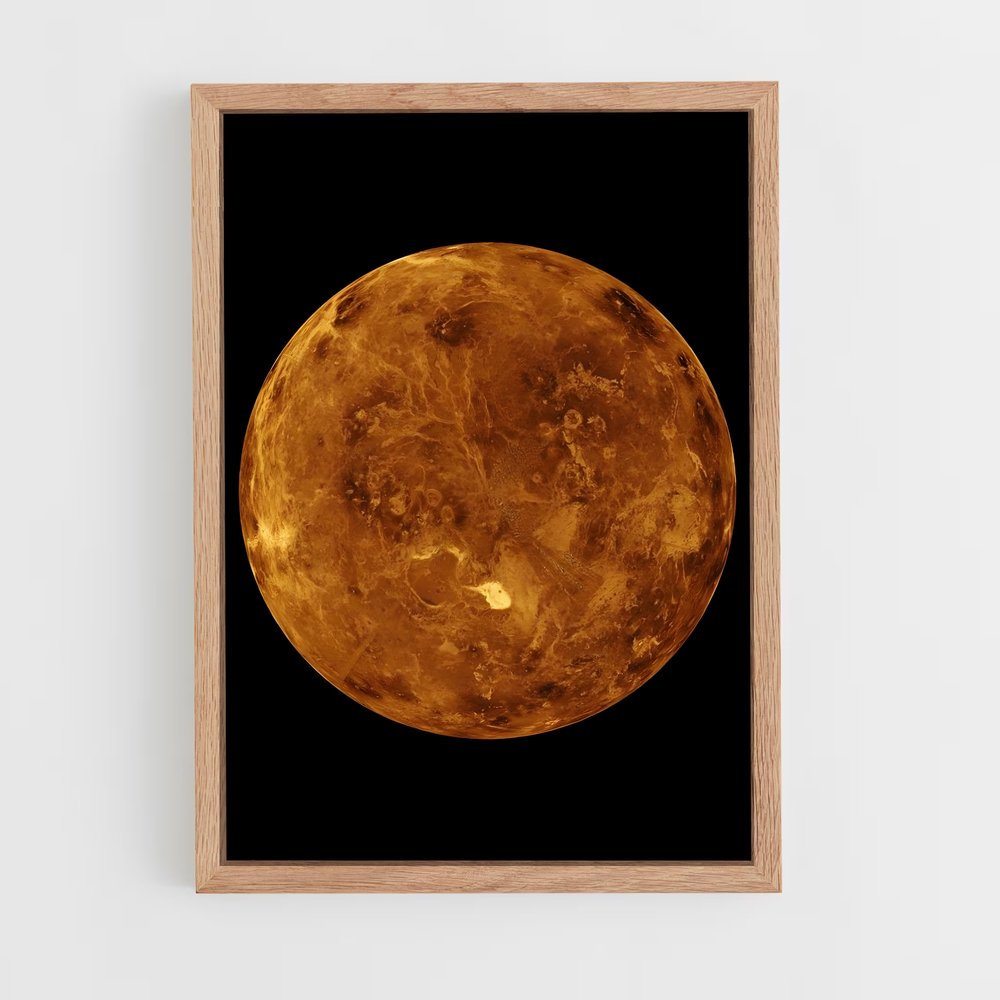 Poster Venus (vue 4)
