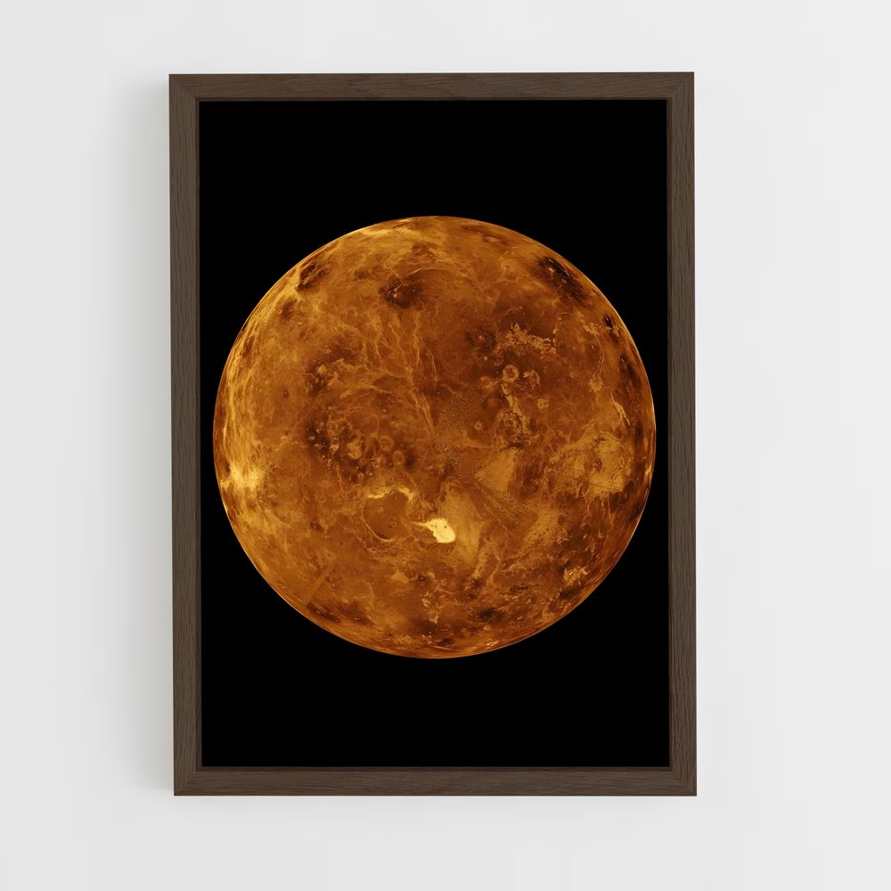 Poster Venus (vue 5)