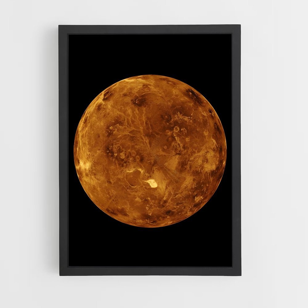 Poster Venus (vue 2)