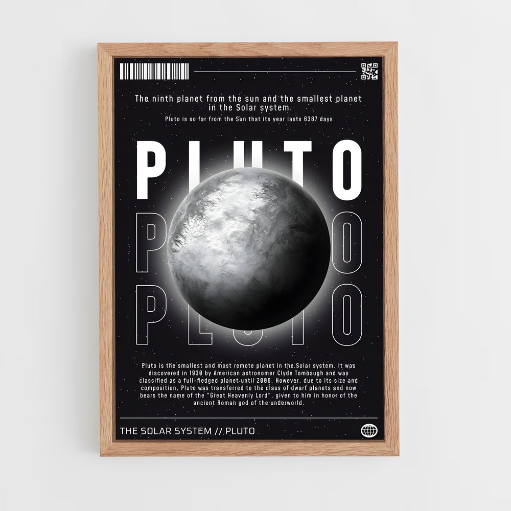 Poster Pluto Complices (vue 4)