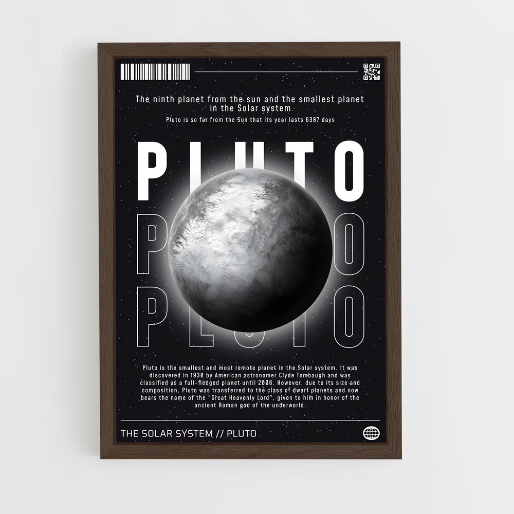 Poster Pluto Complices (vue 5)