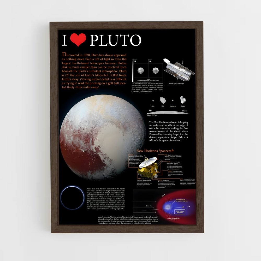 Poster I Love Pluto (vue 5)