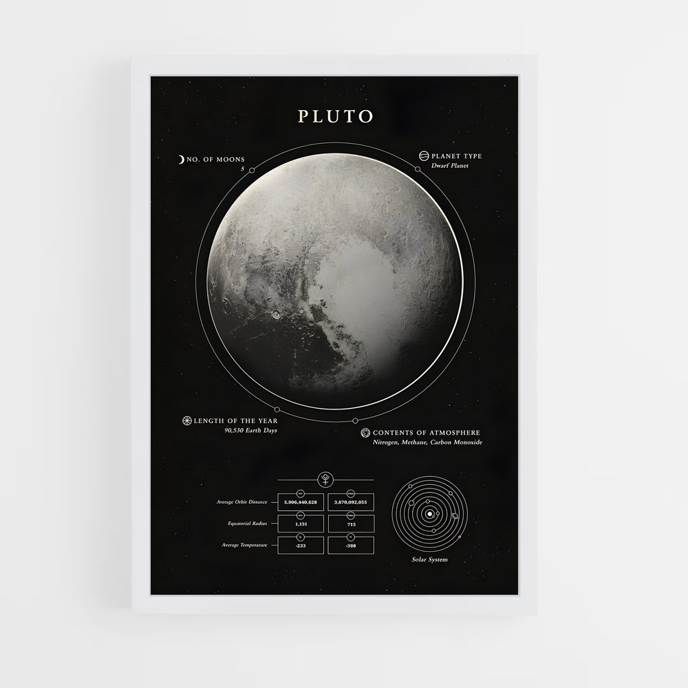 Poster Complices Fidèles (vue 3)