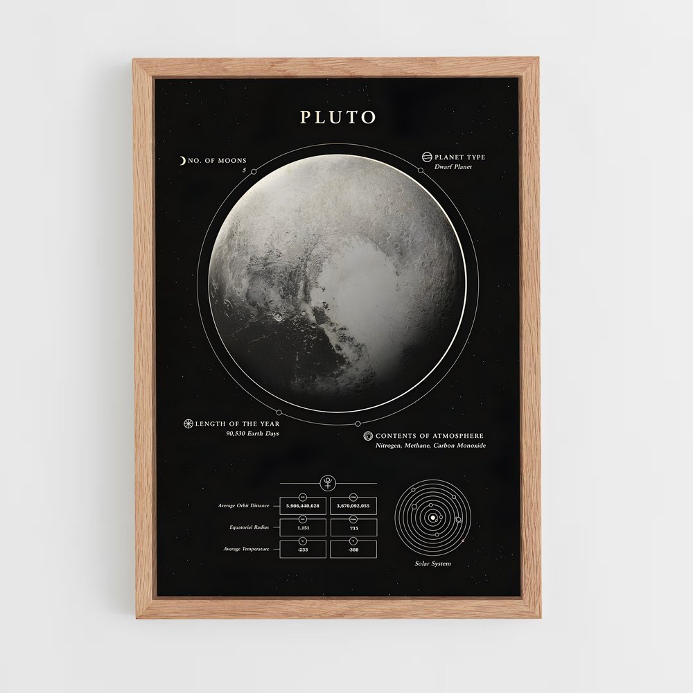 Poster Complices Fidèles (vue 4)