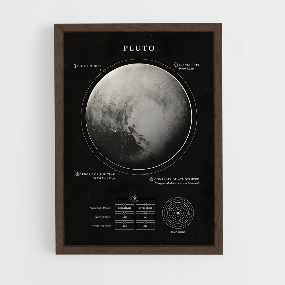 Poster Complices Fidèles (vue 5)