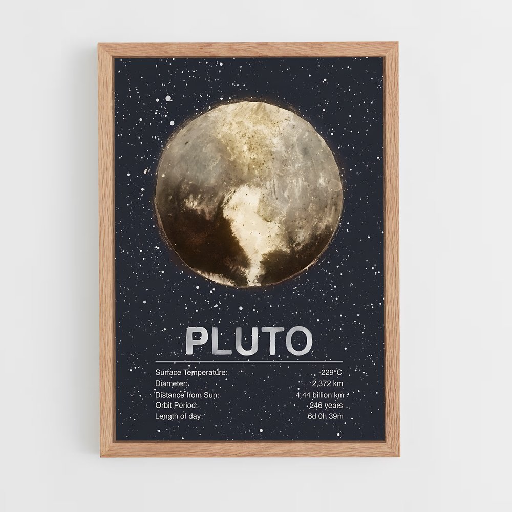 Poster Pluto le Compagnon (vue 4)