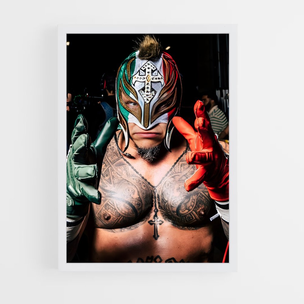 Poster Rey Mysterio (vue 3)