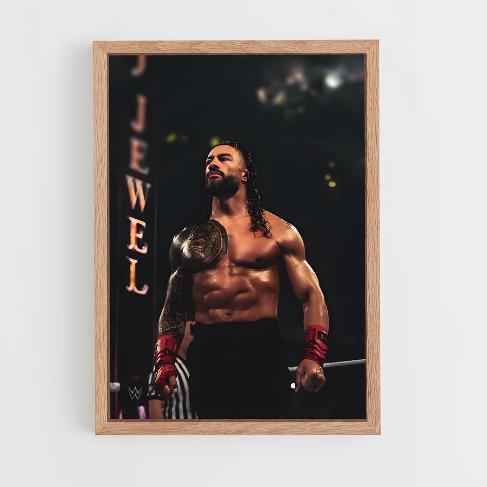 Poster Gladiator du Ring (vue 4)