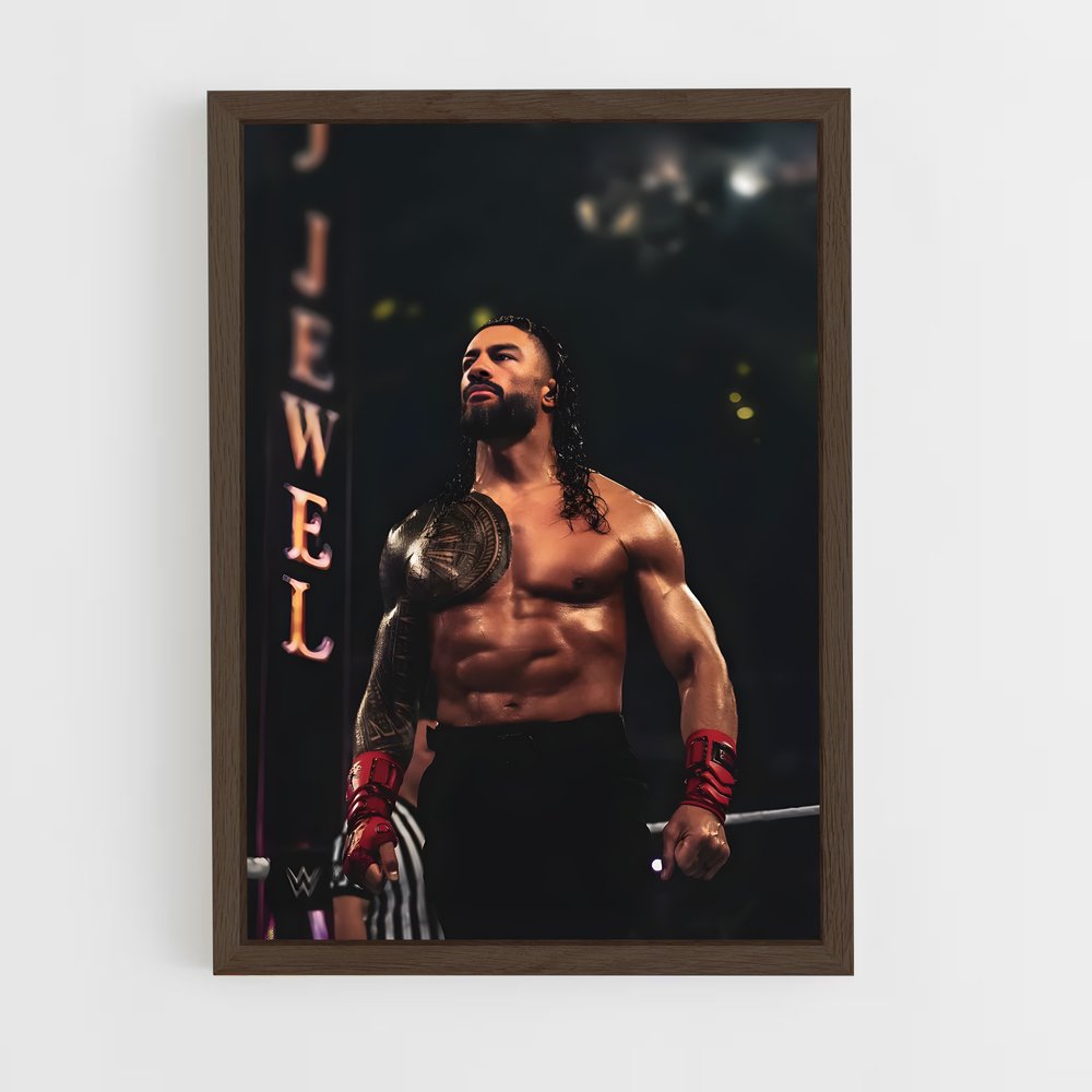 Poster Gladiator du Ring (vue 5)
