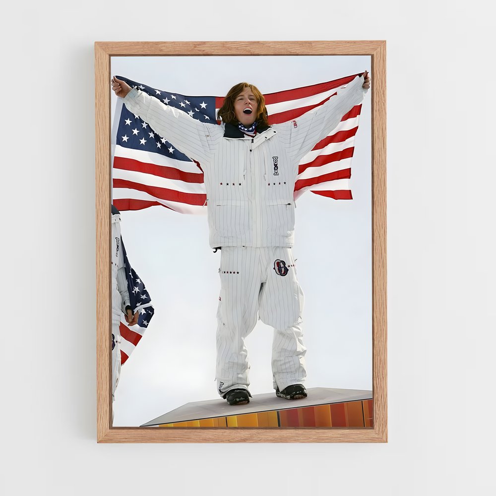 Poster Snowboard Triomphe (vue 4)