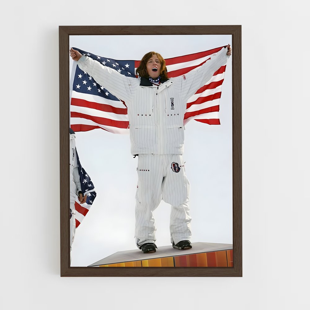 Poster Snowboard Triomphe (vue 5)