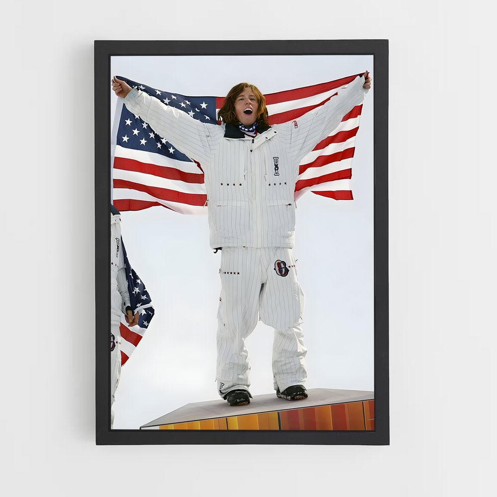 Poster Snowboard Triomphe (vue 2)
