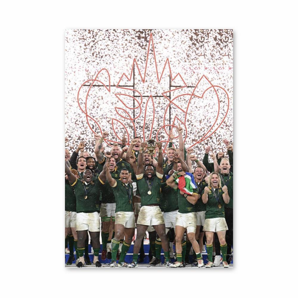 Poster Victoire des Springboks