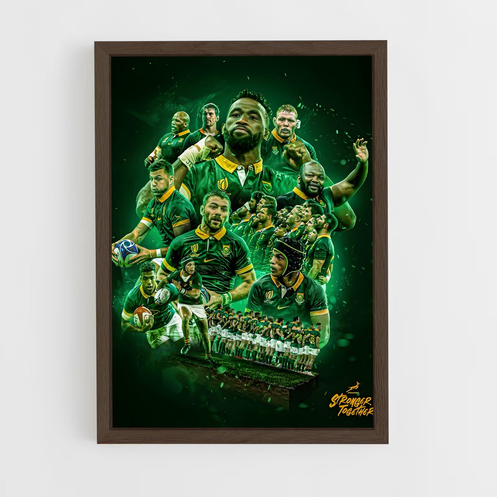 Poster Springboks Champions – affiche Rugby (vue 5)
