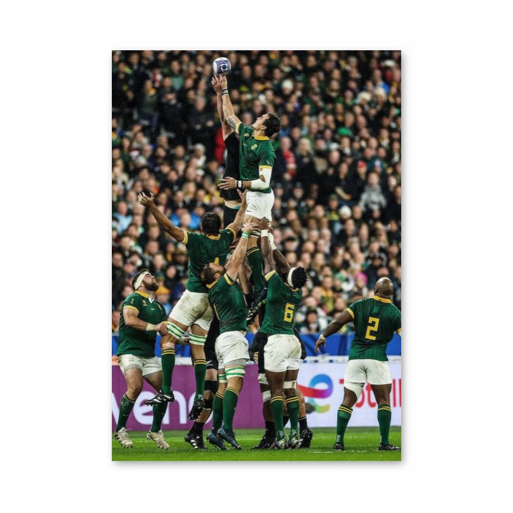 Poster Ascension Springbok