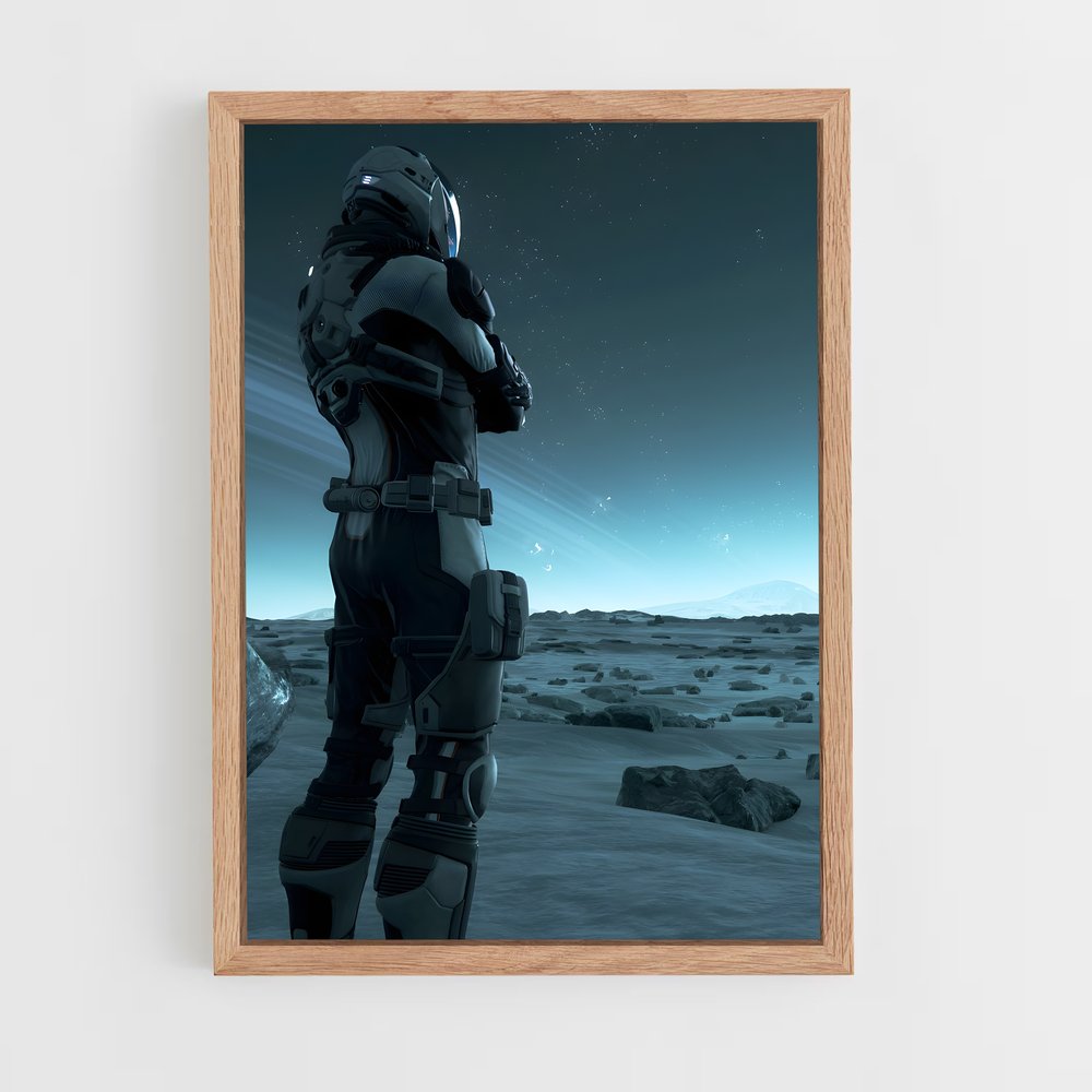 Poster Joueur Star Citizen (vue 4)