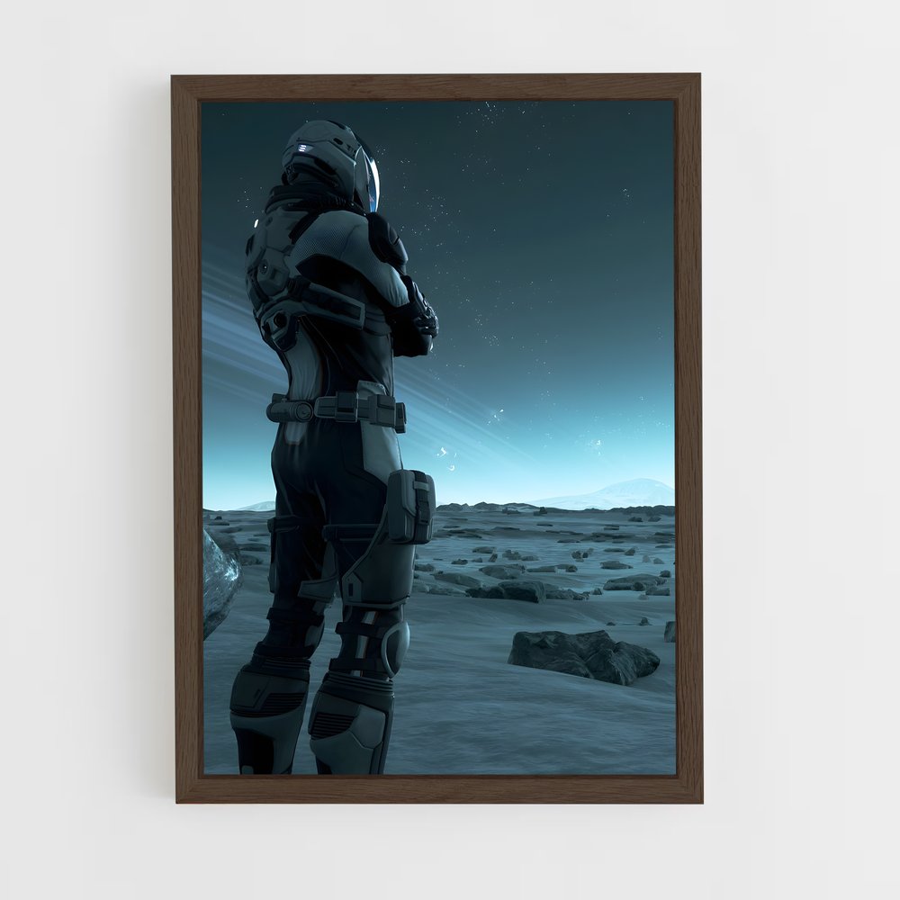 Poster Joueur Star Citizen (vue 5)