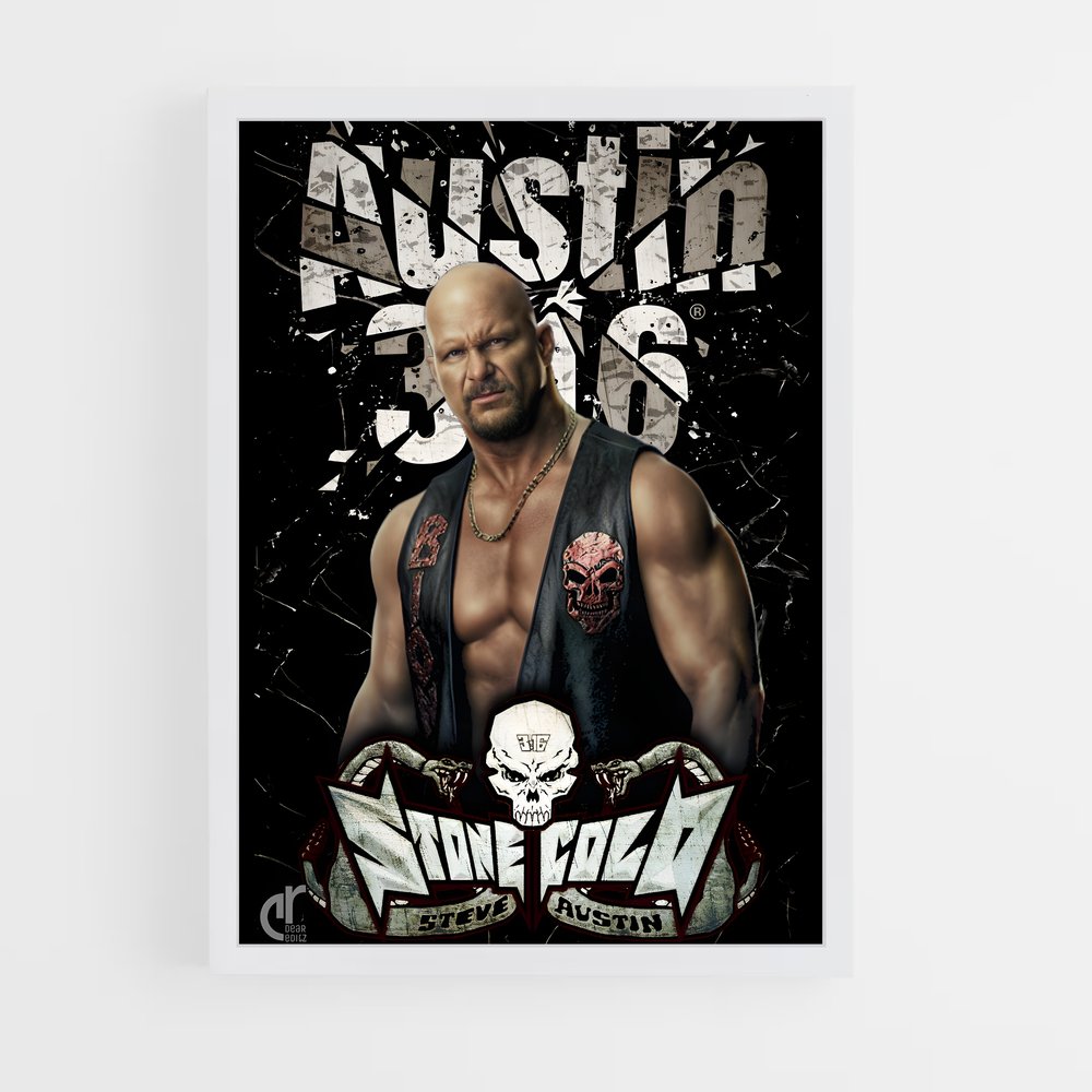 Poster Austin 316 (vue 3)