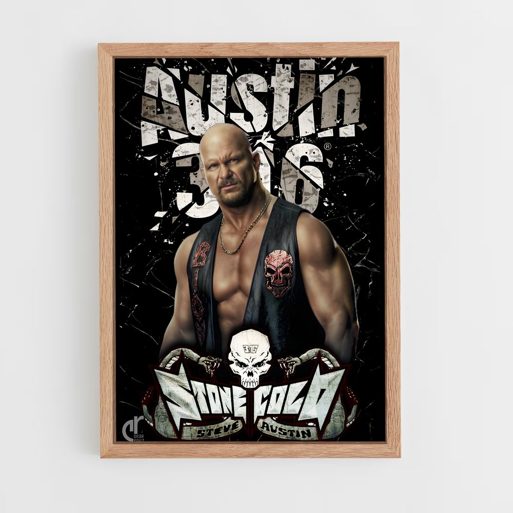 Poster Austin 316 (vue 4)