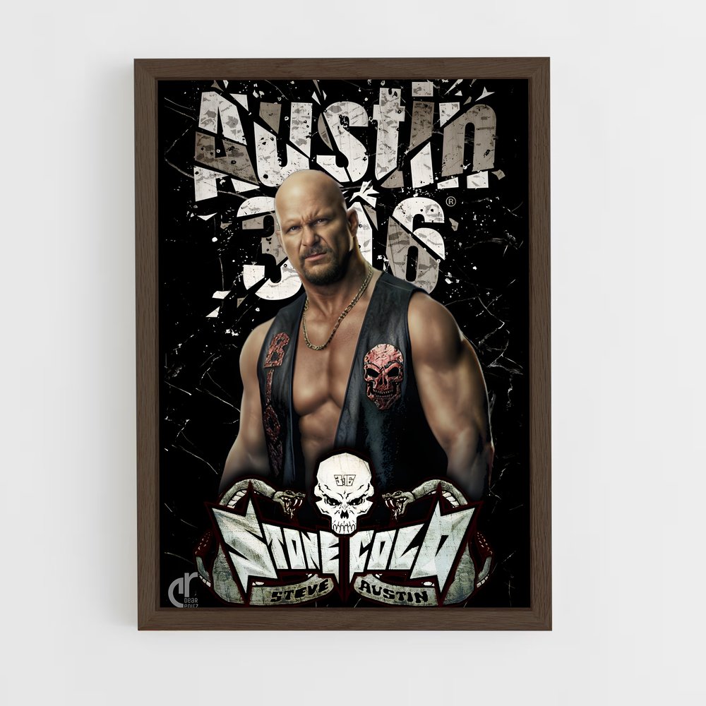 Poster Austin 316 (vue 5)