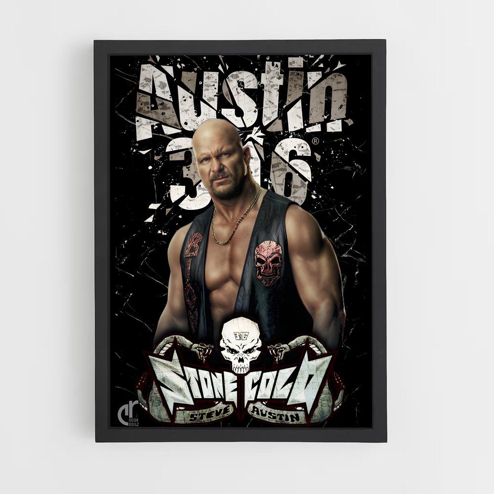 Poster Austin 316 (vue 2)