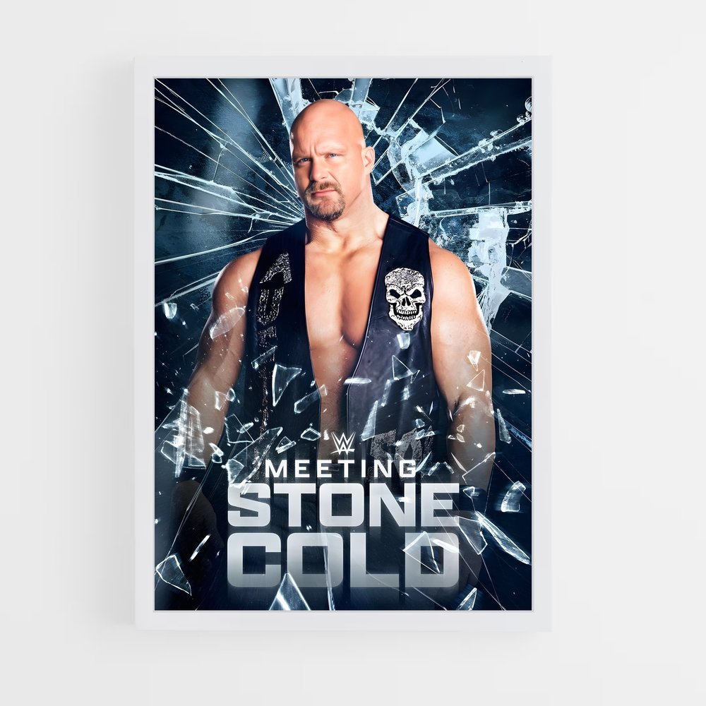 Poster Rencontre Glaciale (vue 3)