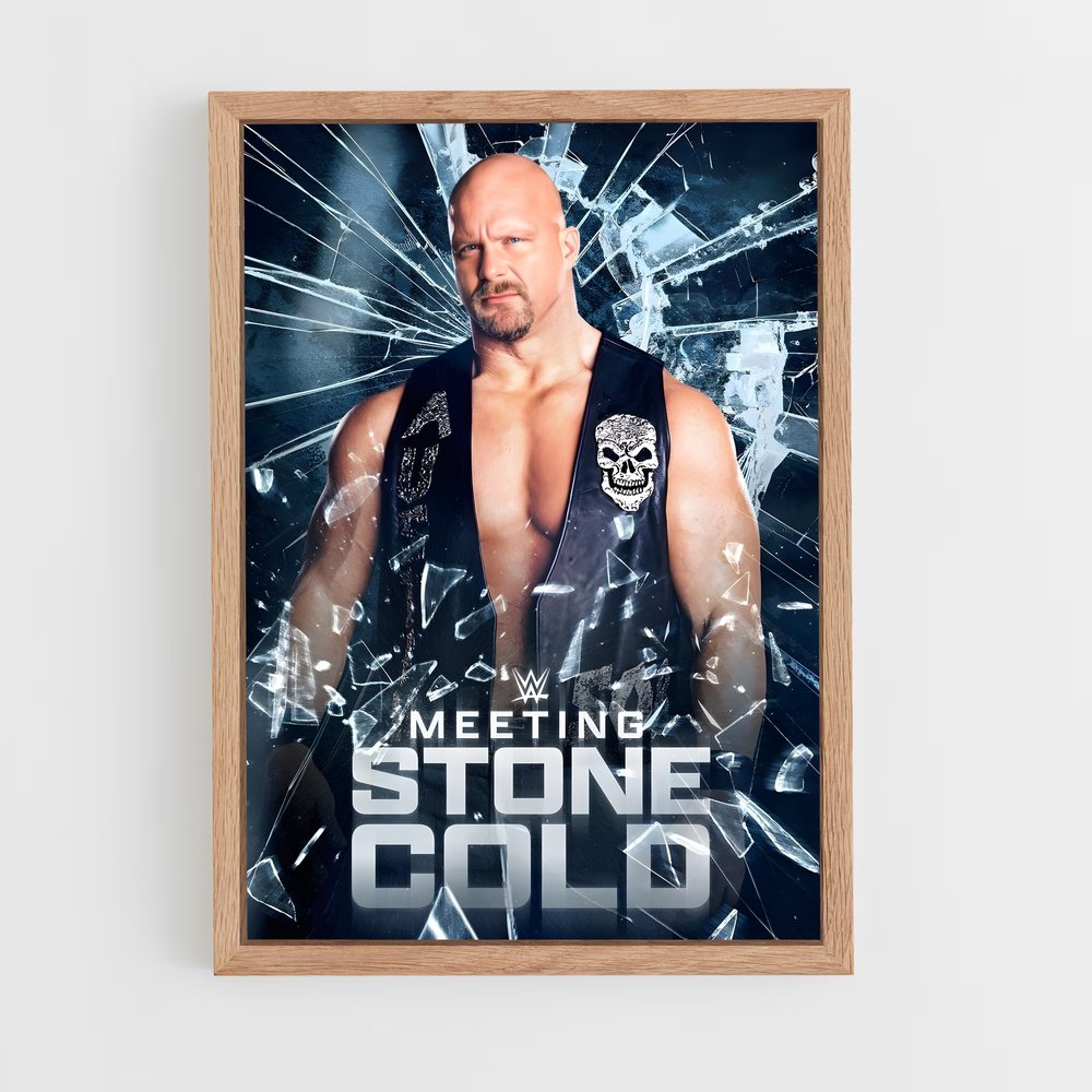 Poster Rencontre Glaciale (vue 4)