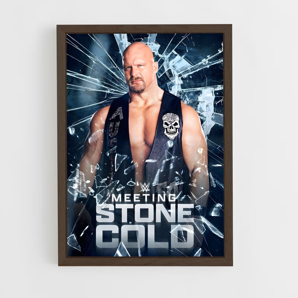 Poster Rencontre Glaciale (vue 5)