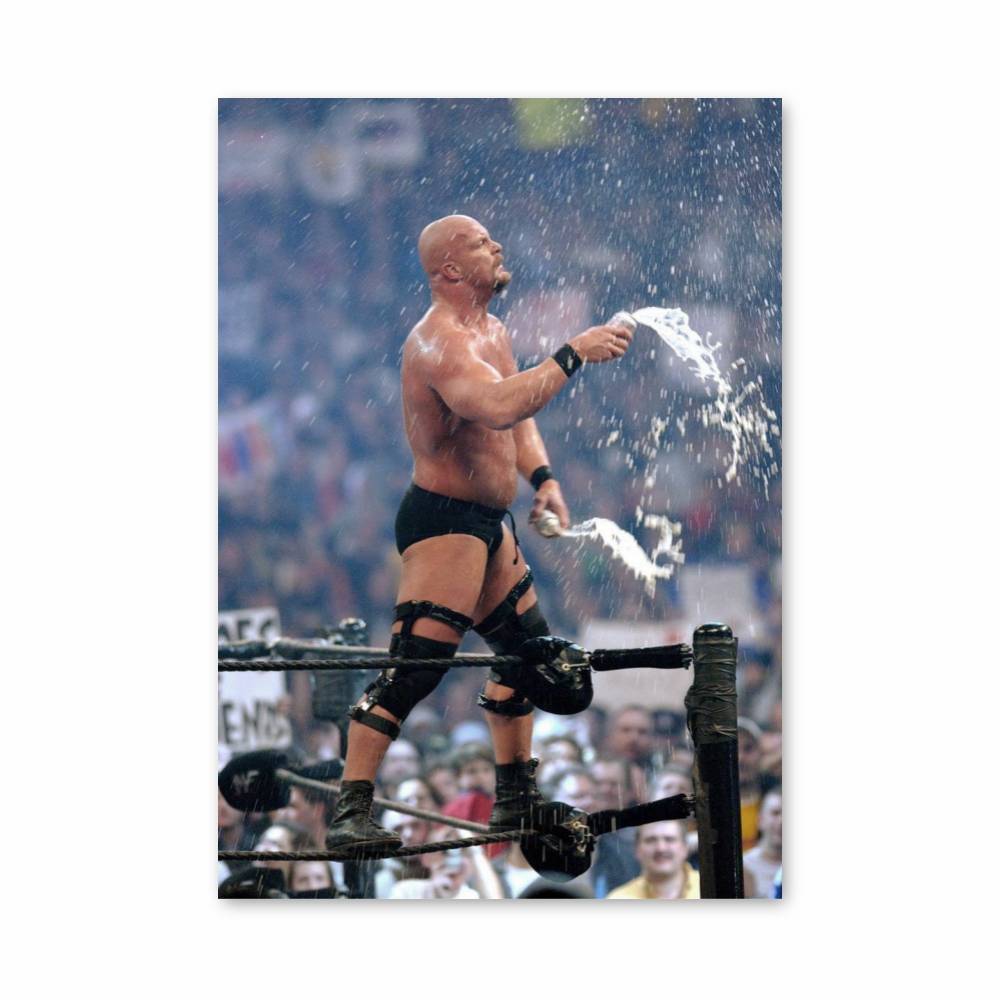 Poster Puissance Glaciale
