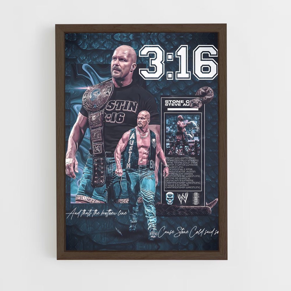 Poster Austin 3:16 (vue 5)