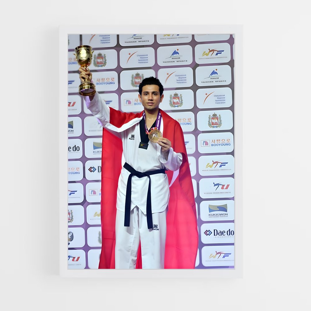 Poster Champion Taekwondo (vue 3)