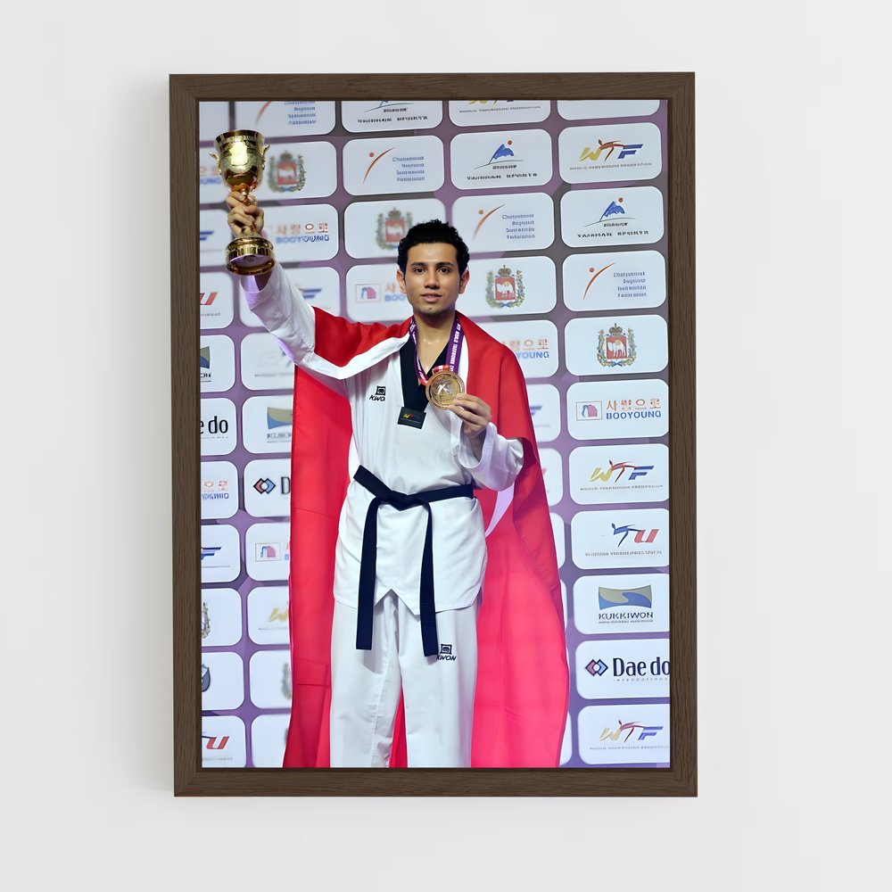 Poster Champion Taekwondo (vue 5)