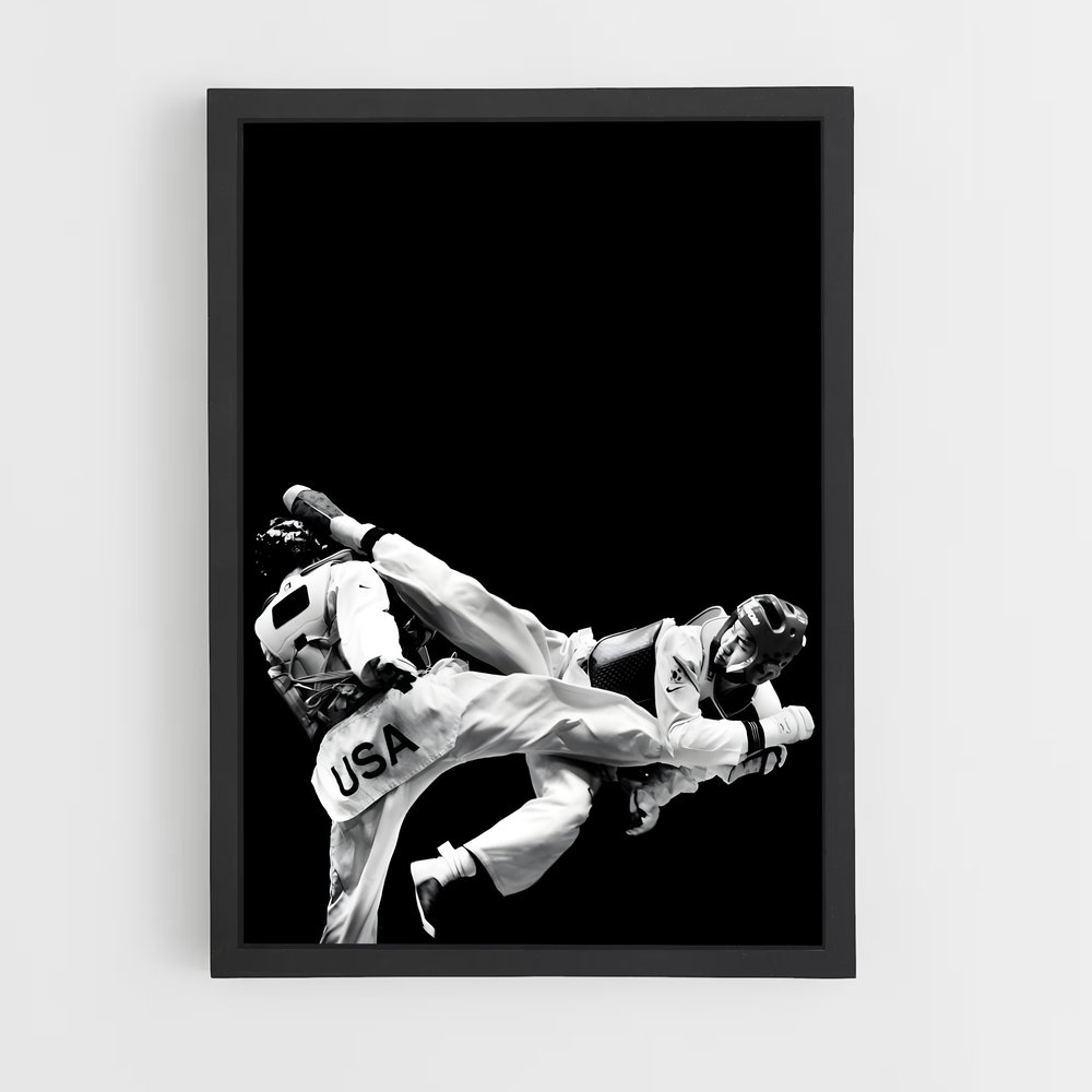 Poster Taekwondo Dynamique (vue 2)