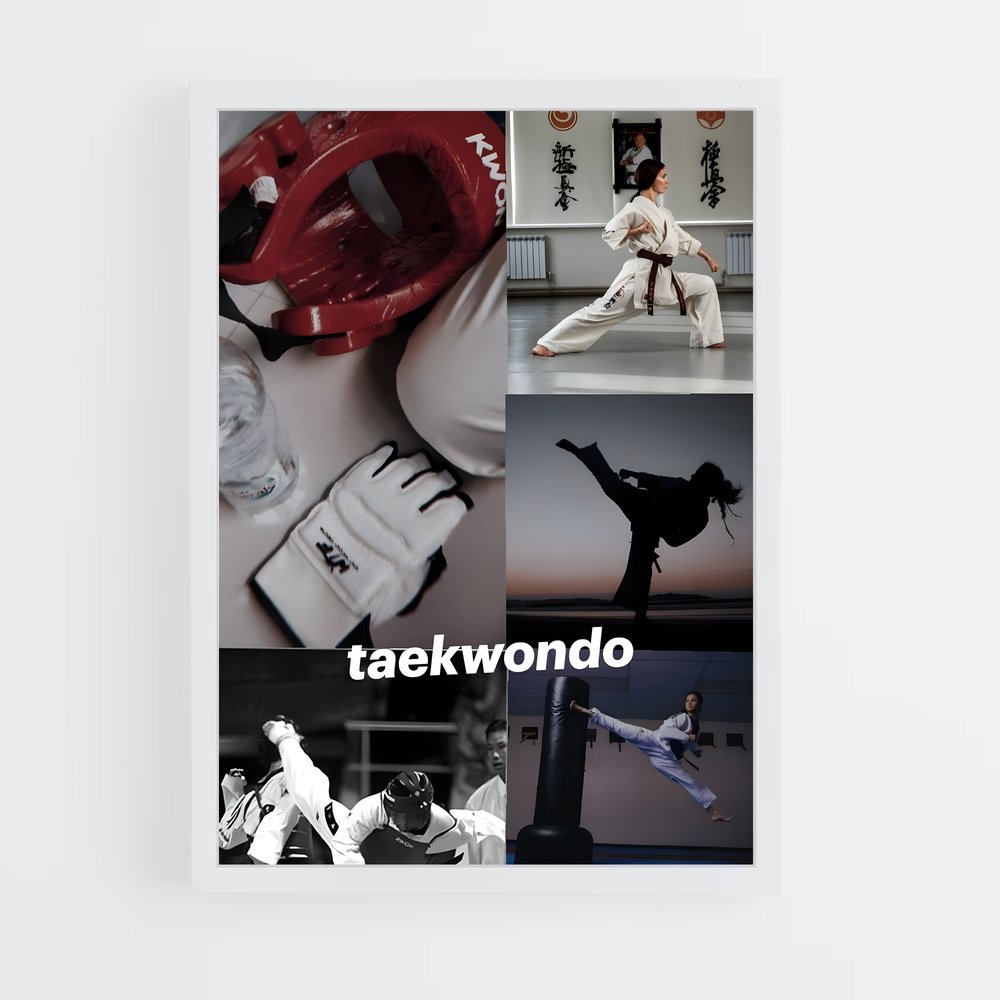 Poster Taekwondo Passion (vue 3)