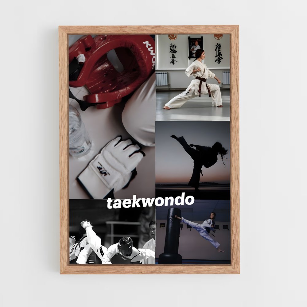Poster Taekwondo Passion (vue 4)