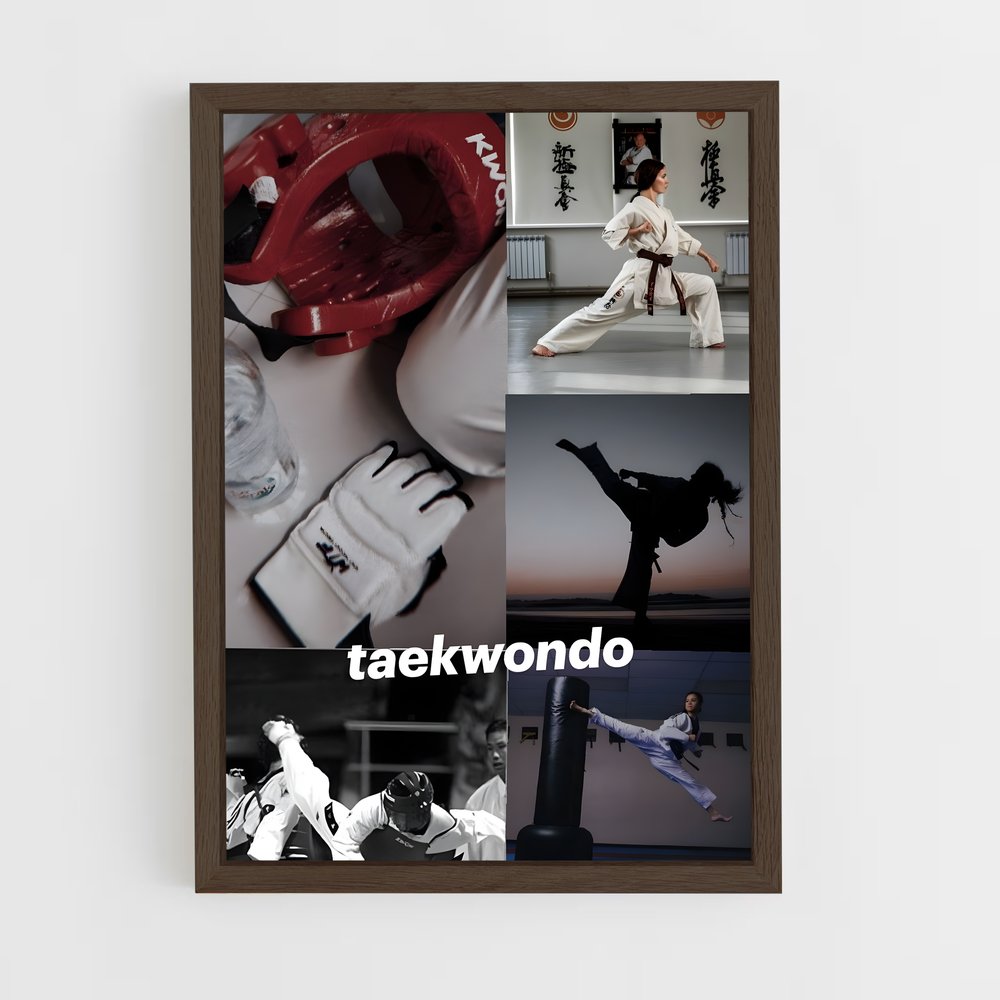 Poster Taekwondo Passion (vue 5)