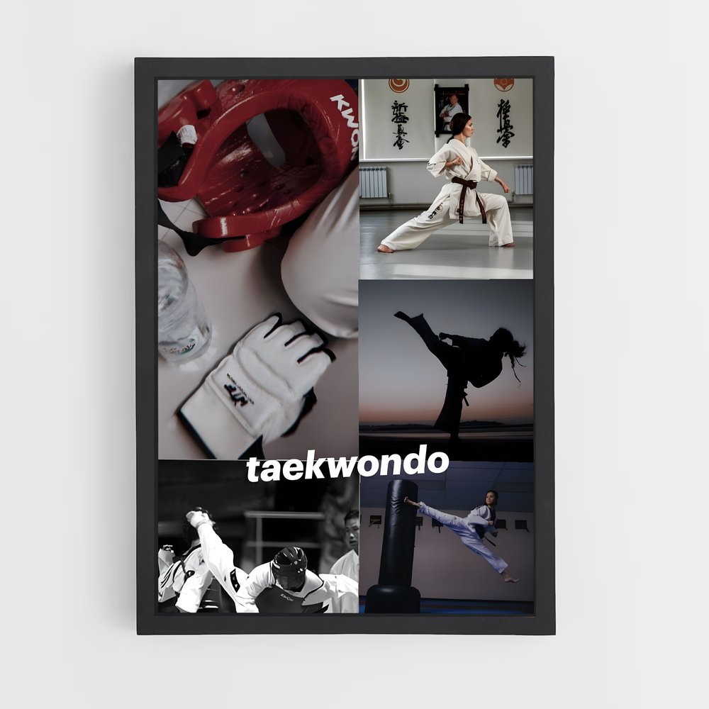 Poster Taekwondo Passion (vue 2)
