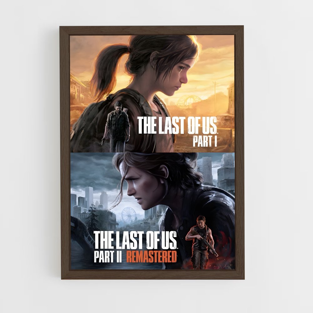 Poster The Last of Us Duality (vue 5)