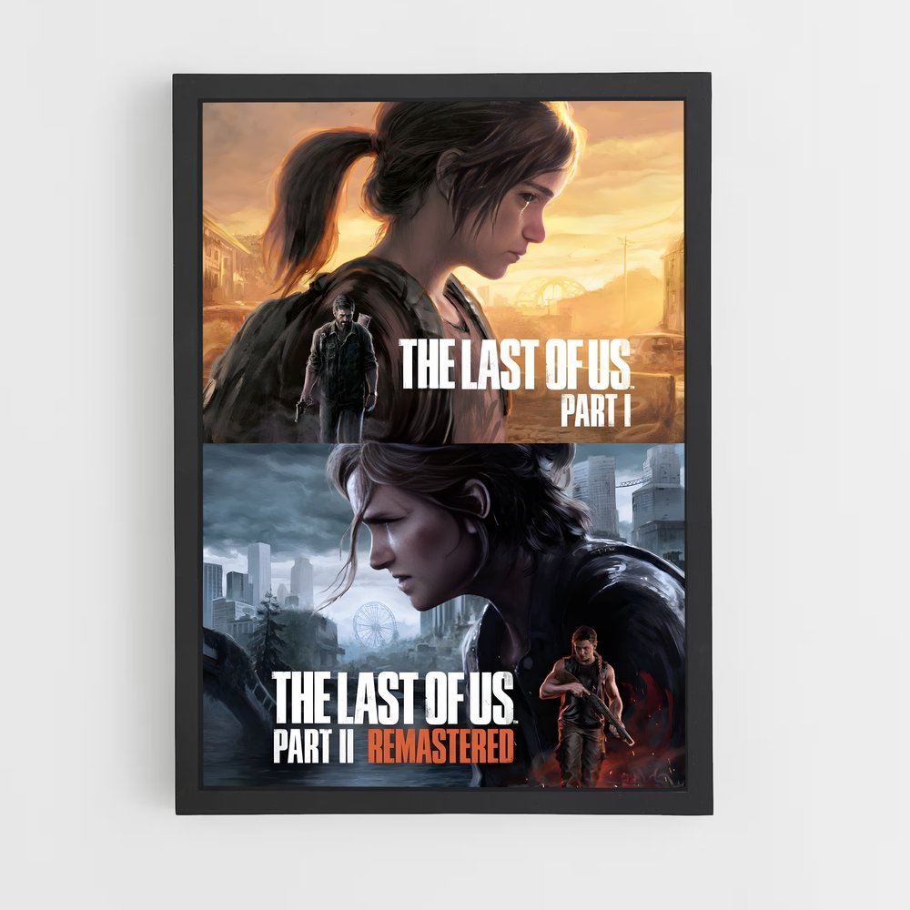 Poster The Last of Us Duality (vue 2)