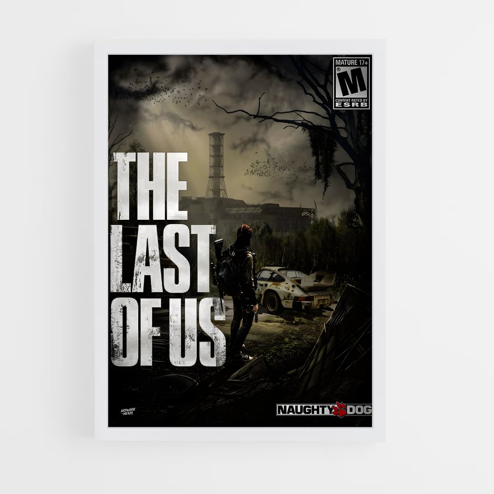 Poster Survival Urbain (vue 3)