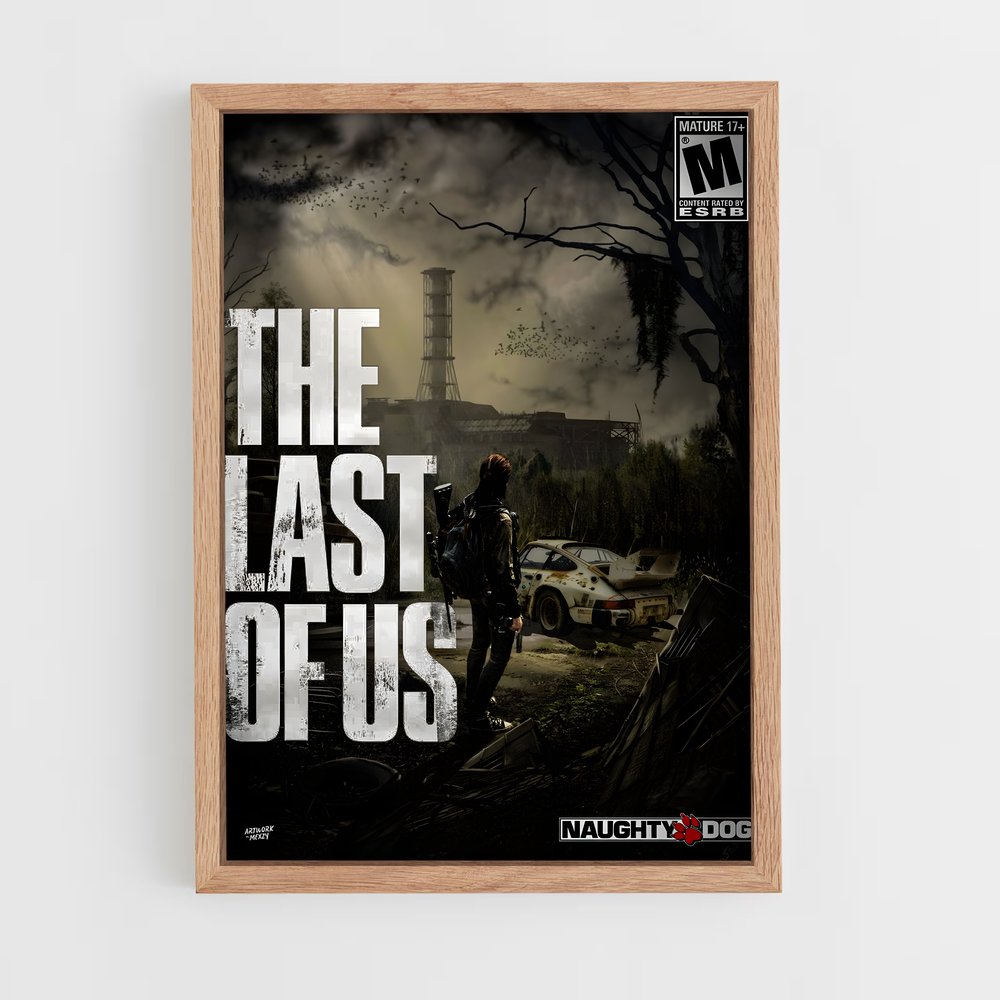 Poster Survival Urbain (vue 4)