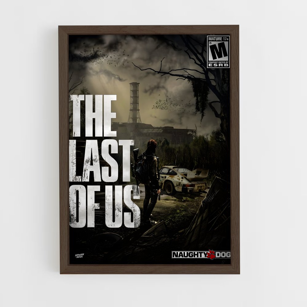 Poster Survival Urbain (vue 5)