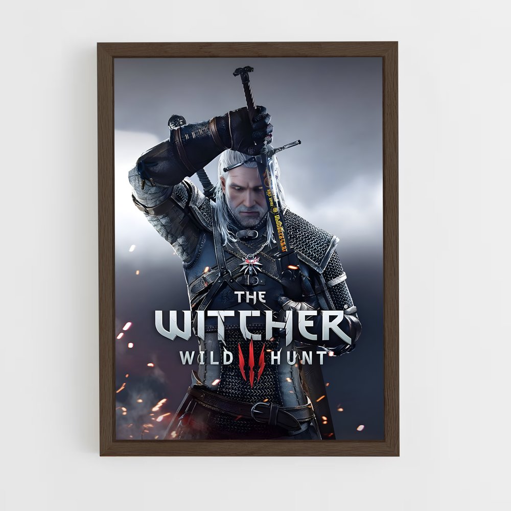 Affiche The Witcher 3 (vue 5)
