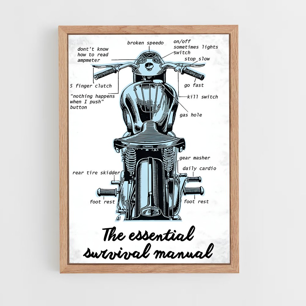 Poster Triumph Survival Guide (vue 4)