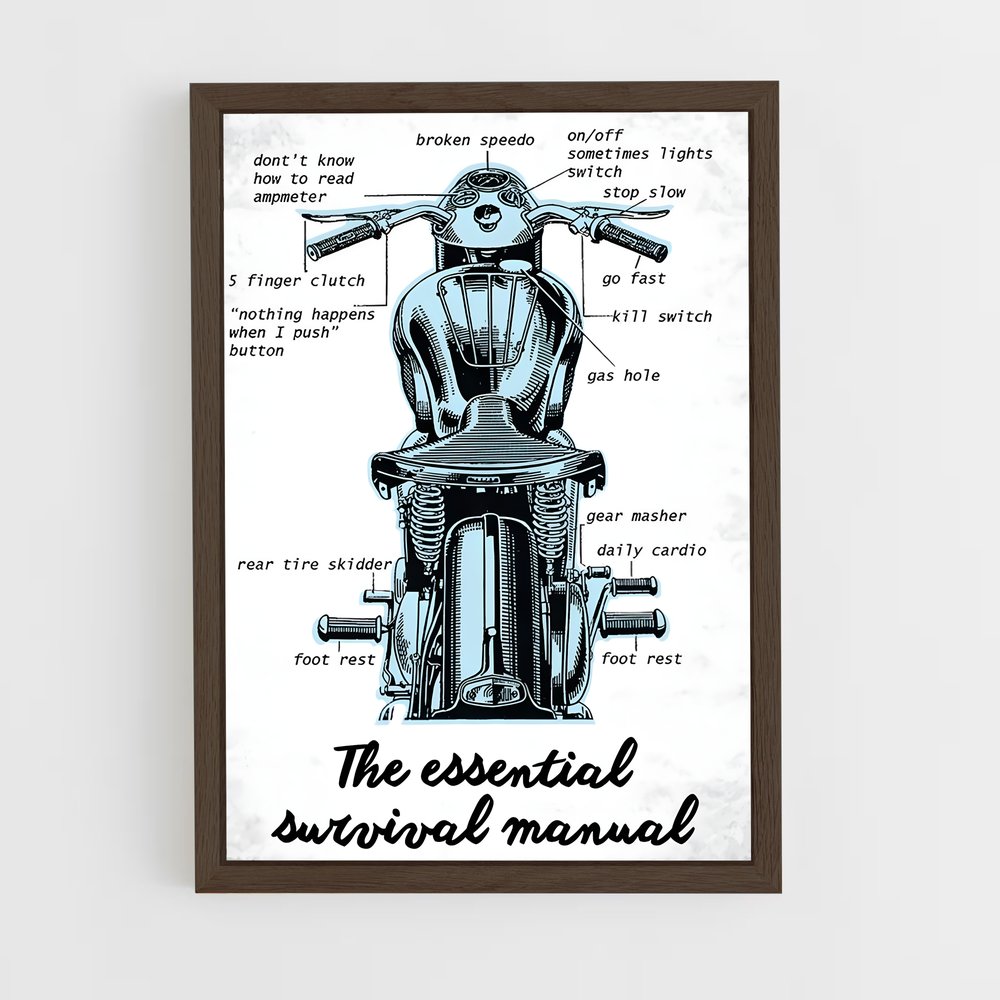 Poster Triumph Survival Guide (vue 5)